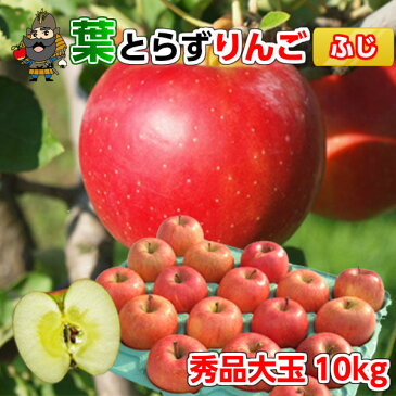 送料無料 青森 りんご 葉とらずりんご サンふじ 10kg(28-32玉前後) 秀品大玉 贈答用ランク 青森県産 産地直送 青研 | お土産 葉とらず 果物 ギフト フルーツ 大玉 贈答用りんご リンゴ 青森りんご 贈答用 内祝い お取り寄せ 林檎 さんフジ 御歳暮 お歳暮 冬ギフト