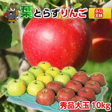 送料無料 青森 りんご 葉とらずりんご サンふじと王林セット 10kg（32玉前後）≪秀品大玉 贈答用ランク 青森県産 産地直送 青研≫| お土産 王林 葉とらず 果物 ギフト 大玉 贈答用りんご リンゴ 青森りんご 贈答品 サンふじ さんふじ サンフジ 青森県産 贈答用