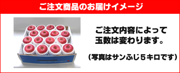 送料無料 青森 りんご 岩木山特選りんご サンふじ 10kg(28-32玉前後) 特選大玉 贈答用ランク 青森県産 産地直送 青研 | お土産 果物 ギフト フルーツ 贈答用 内祝い 贈答用りんご 大玉 リンゴ さんふじ 弘前 フルーツギフト 贈答品 林檎 お歳暮 御歳暮 冬ギフト