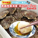 殻付きホタテ いきほたて 貝柱 刺身 BBQ 海鮮活ほたて 青森陸奥湾 平内産 5キロ 平内漁協の生けすから直送 送料無料 | 青森 お土産 ホタテ 殻付き 食...