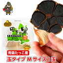田子の黒にんにくMサイズ 1個 | お土産 国産にんにく にんにく 青森県産 田子 お取り寄せ 黒 田子にんにく ニンニク 青森ニンニク 国産ニンニク 東北 黒...