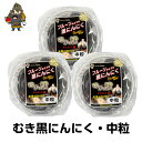 送料無料 熟成黒にんにく 田子の黒 むき黒にんにく中粒サイズ 3パック(約390g)≪青森産 お試し 田子産 福地ホワイト 黒ニンニク≫ | 黒にんにく 青森 ...