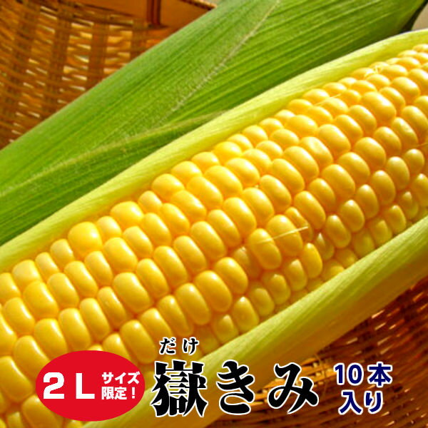 青森県産 嶽きみ 恵味（めぐみ） 2Lサイズ限定 10本 フルーツのようなとうもろこし | 青森 青森産 食べ物 お土産 国産 お取り寄せ 甘い 甘いとうもろこし トウモロコシ スイートコーン 贈り物 ギフト お取り寄せグルメ ご当地 お中元 取り寄せ とうもろこし コーン 御中元