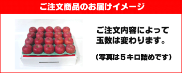 【送料無料】初夏に美味しい低温冷蔵りんご(CA)青森りんご 有袋ジョナゴールドとシナノゴールドセット 3kg 10-12玉前後 ≪ご家庭用中玉 訳あり 安心のクール便発送 パリパリりんご!≫