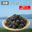 冷凍しじみ 青森県産 砂抜き 十三湖特選 中粒しじみ貝 200g×5パック（1kg） 砂抜き済み 冷凍しじみ 十三湖しじみ しじみ | 青森 お土産 青森産 ギフト お取り寄せ 十三湖 冷凍シジミ お取り寄せグルメ 取り寄せ シジミ 味噌汁 プレゼント しじみ汁 母の日 父の日 お中元 1