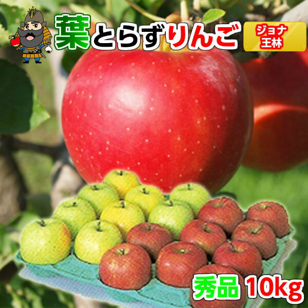 送料無料 青森 りんご 葉とらずりんご ジョナゴールドと王林セット 10kg（40玉前後）≪秀品・贈答用ランク・青森県産・産地直送≫ | お土産 青研 お取り寄せ ギフト 葉とらず 贈答用 リンゴ 青森りんご 果物 青森リンゴ 林檎 内祝い 贈答 くだもの 冬ギフト