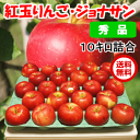 【送料無料】青森 りんご 紅玉 りんご・ジョナサン 10kg(46-56玉前後)≪秀品贈答用ランク・青森県産・産地直送≫ - ためのぶストア楽天市場店