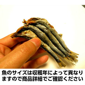 炭火 焼き干し 青森県脇野沢産 いわし500g（箱入り）【SS】| 青森 お土産 ギフト 食べ物 青森県産 お取り寄せ 土産 煮干し 食品 取り寄せ 東北 つまみ 贈り物 イワシ おつまみ 惣菜 干物 名物 魚 出汁 おかず 乾物 だし お惣菜 ひもの ダシ 特産品 酒の肴 酒のつまみ