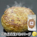 お肉屋さんのうわさの生ハンバーグ │ お取り寄せグルメ 東北 お肉 母の日 父の日