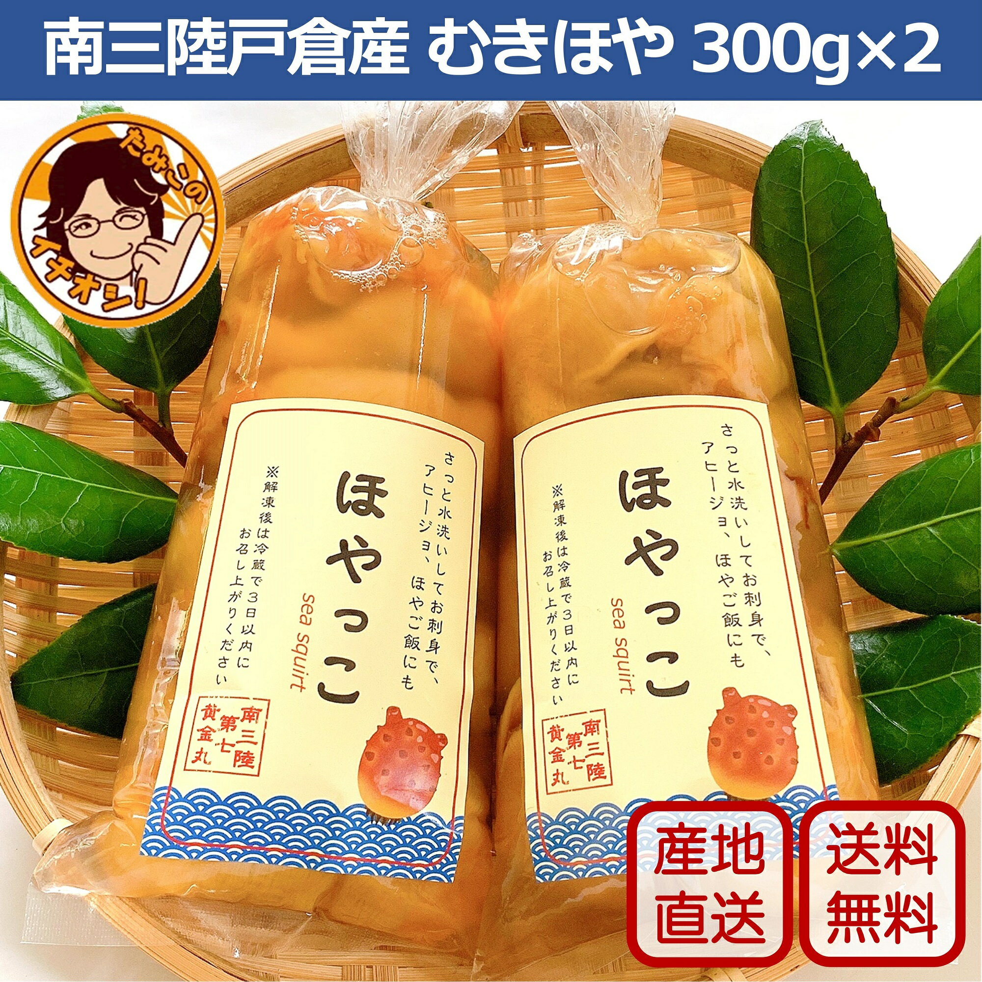 お中元 夏ギフト 肉厚ぷりぷりのむき身ほや【ほやっこパック300g×2】宮城県 南三陸産 ほや 生ホヤ むき身 剥きほや 殻剥きいらず 送料無料 刺身 生食 おつまみ お酒 海のパイナップル 珍味 新鮮 海鞘 急速冷凍 ギフト お礼 内祝 熨斗 ラッピング