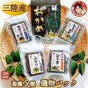 【磯物パック】ギフト 食べ物 海鮮詰合わせ 海産物 海藻詰め合わせ 塩蔵わかめ とろろ昆布 のり ひじき ふのり 送料無料 お礼 内祝 熨斗 ラッピング 国産 ...