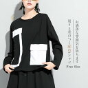配色ポケット tシャツ 長袖 秋 冬 春 トレーナー レディース おしゃれ プルオーバー カットソー トップス リラックス 長袖tシャツ 個性的 モード 原宿系 オーバーサイズ 大きいサイズ ゆったり 春秋物 切り替え アシンメトリ 無地 異素材 30代 40代 クールネック 黒