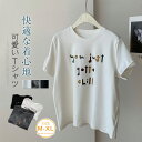クルーネック tシャツ レディース 半袖 夏 ストレッチ Tシャツ 半袖tシャツ カットソー プルオーバー トップス カットソー 大人 半袖Tシャツ 着回し 通...