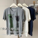 クルーネック tシャツ レディース 半袖 夏 ストレッチ Tシャツ 半袖tシャツ カットソー プルオーバー トップス カットソー 大人 半袖Tシャツ 着回し 通...