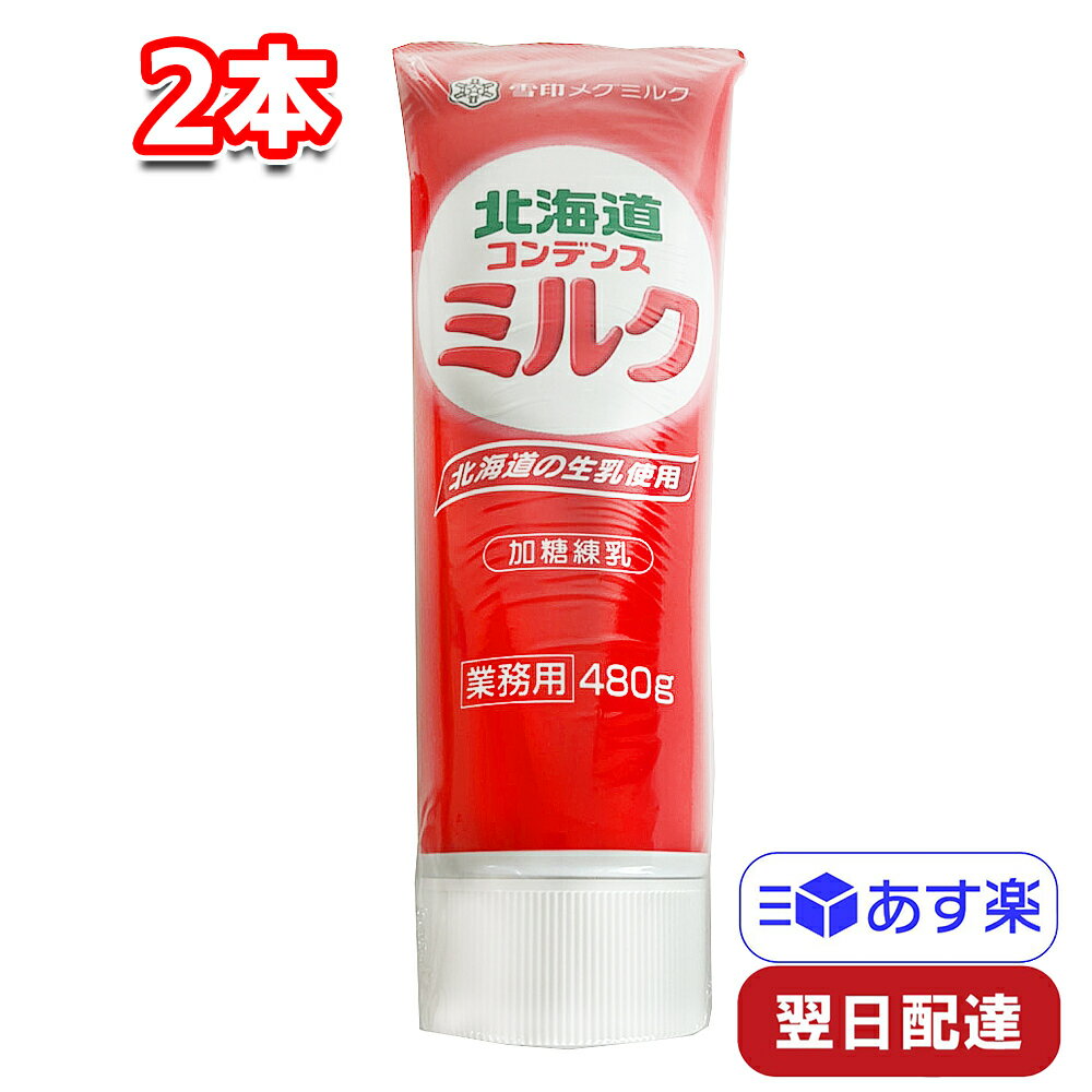 雪印メグミルク 北海道コンデンスミルク チューブ式加糖練乳 480g 2本 業務用