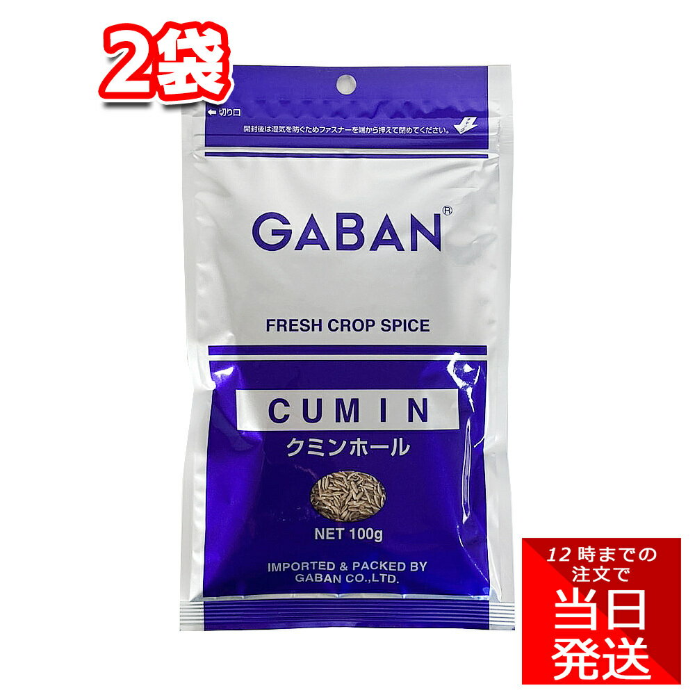 GABAN クミンホール 100g 2袋 業務用 ギャバン