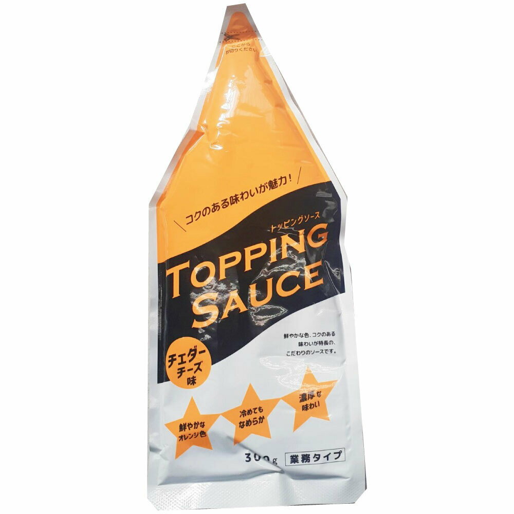 日本製粉 トッピングソース チェダーチーズ味 300g 業務タイプ ソース トッピング