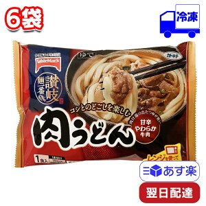 テーブルマーク 讃岐麺一番 肉うどん 1食入り 6袋 セット 冷凍 まとめ買い 338g レンジ レンチン 一人暮らし 朝ごはん 昼食 夕飯 夜食 間食 手軽 簡単 時短 カトキチ TableMark