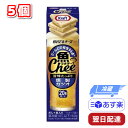 森永乳業 クラフト 魚 Chee ウオチー 切れてるチーズ 