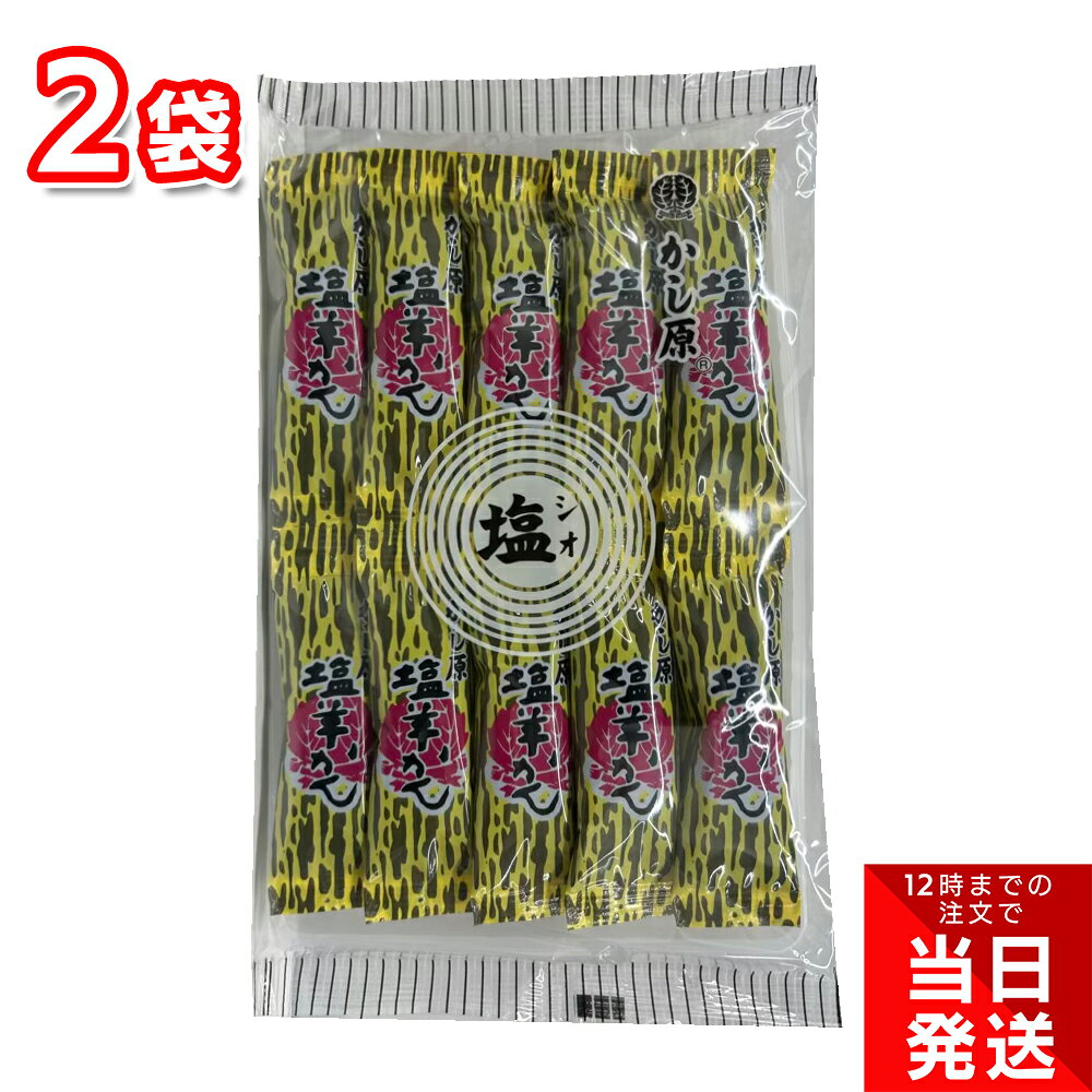かし原 塩羊かん 10本入×2袋セット お菓子 和菓子 個包装 一口サイズの個包装だから食べやすい 「ちょっと一息」というときに温かいお茶と一緒にお召し上がりください。一層おいしくいただけるかと思います。商品を取り出し易いように切り込みが入っており、手を汚さずにお召し上がりいただけます。夏場は冷やしてお召し上がり下さい。より一層美味しくいただけます。 5