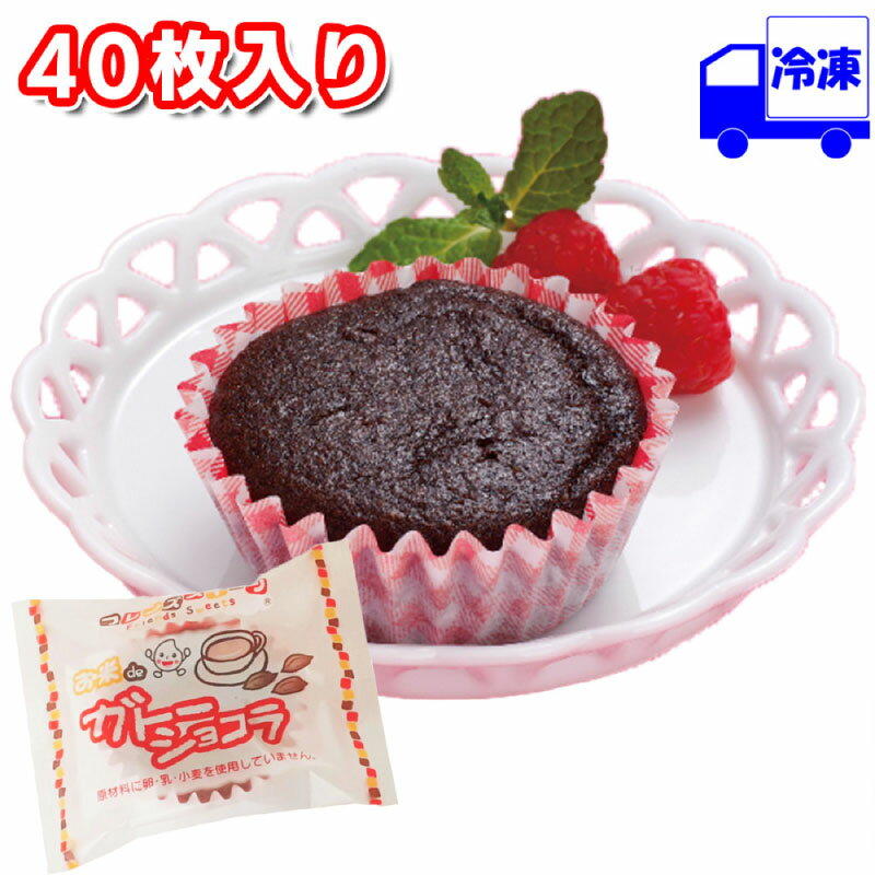 【ポイント10倍6/4 20時～】 日東ベスト お米deガトーショコラ 冷凍 30g×40個 1ケース 米粉 スイーツ お菓子 おやつ ガトーショコラ カカオ 母の日 父の日 敬老の日 プレゼント お誕生日