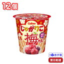 【ポイント3倍】 カルビー じゃがりこ 梅味 12個 1ケース まとめ買い calbee セット 箱 買い お菓子 詰め合わせ おかし 大人 子供 子供会 幼児 まとめ ビッグサイズ 備蓄 防災 防災食 差し入れ 大量 業務用 箱買い バラエティ 常温 大容量 ポッキリ 大袋 個別包装 個包装