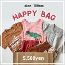 【即納】HAPPY BAG 100cm A073 福袋 ハッピーバッグ 出産祝いセット セット売り まとめ売り 中身が見える ベビー ベビー服 赤ちゃん 赤ちゃ...