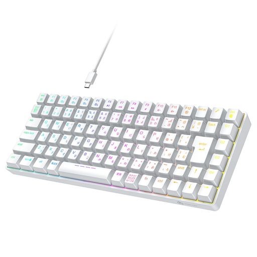 iCleverゲーミングキーボードテンキーレス赤軸メカニカルキーボード日本語配列88キー75%サイズRGB23種類バックライトカスタマイズ静音有線着脱式ケーブルゲーム/オフィス用パソコンキーボ… iCleverゲーミングキーボードテンキーレス赤軸メカニカルキーボード日本語配列88キー75%サイズRGB23種類バックライトカスタマイズ静音有線着脱式ケーブルゲーム/オフィス用パソコンキーボ…