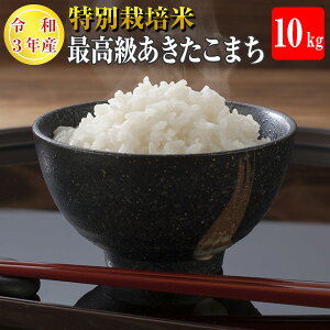 【令和3年産】【送料無料】秋田県 大潟村産 特別栽培米 最高級 あきたこまち 10kg（5kg×2袋）