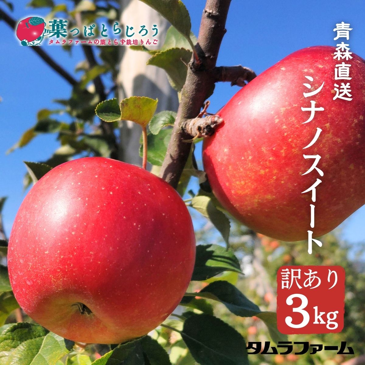 旬の味わいをお届けする果物 秋の深まりとともに迎える美味しい季節に、ご自宅用としてはもちろん、贈り物やお歳暮などの特別なギフトシーンにも最適な一品です。ご家族団らんのひとときや、お祝いの席のデザートとしても大変喜ばれます。 商品情報 数量限定 売り切れ次第終了です 果汁 多め 甘み・酸味 甘みが強くほどよい酸味 歯ごたえ サクサク 蜜の入り 入ることがありますが、しばらく保存しておくと果肉に吸収されて見えなくなります。 注意点 冷蔵庫で保管のうえ、10日以内を目安にお召し上がりください。 発送開始予定 10月下旬前後からご注文をいただいた順で発送開始となります。 おすすめの利用シーン 秋の味覚狩り気分をご自宅で味わうお取り寄せグルメとして 大切な方へ感謝を伝えるお中元・お歳暮などの季節のイベント 食卓を彩るプレミアムなフルーツ体験青森県産シナノスイートりんご【訳アリご家庭用3kg・常温便】 葉っぱとらじろう 【10月下旬発送予定・予約受付中】 上質な甘みと豊かな風味を兼ね備えた人気の銘柄です。産地直送の新鮮な味わいをご自宅用にお楽しみください。 商品特徴と味わい 芳醇な甘みと適度な酸味が絶妙に調和した風味を持っています。果汁がたっぷりと詰まっており、ジューシーで食べ応えがある果実です。サクサクとした心地よい歯ごたえもお楽しみいただけます。 蜜が入ることもございますが、しばらく保存しておくと果肉に吸収されて見えなくなる特性があります。お子様から大人まで親しみやすい味わいです。 商品詳細情報 内容量 3kg（ご家庭用訳あり） 発送時期 10月下旬から順次発送予定（予約受付中）※ご注文順の発送となります。天候や収穫状況により前後する場合がございます。 味わいの特徴 果汁：多め甘み・酸味：甘みが強くほどよい酸味食感：サクサク おすすめの食べ方 そのまま生で召し上がるのが一番のおすすめです。生絞りのジュースもお子様に大変人気があります。 お届けと保存に関するご案内 数量限定：売り切れ次第終了となりますのでお早めにご検討ください。 保存方法：冷蔵庫で保管の上、10日以内を目安にお召し上がりください。 注意事項：自然のもののため、出荷予定時期が前後する場合がございます。あらかじめご了承ください。 5