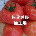 【3日以内発送】 【今しかない!加工用とまと4kg】トマト 山口県産 赤土トマト 加工用 訳アリ野菜 とまと 2kg 4kg 産地直送 お試し 大玉トマト 箱 箱売り tomato 美味しいトマト 食品 高糖度 旨味 ミネラル成分 豊富 プレミアム ビタミンC