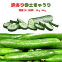 【予約】【9月上旬より順次発送】 きゅうり 新鮮野菜 山口県産 訳あり 赤土きゅうり 2kg 5kg 胡瓜 朝採り 産直 新鮮 訳アリ野菜 産地直送 カリカリ 山口産 もぎたて ジューシー 美味しい 料理 産直野菜 お弁当 遠足 ピクニック 訳ありきゅうり