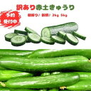 【予約受付中】 訳あり きゅうり 3kg 5kg 新鮮野菜 キュウリ 山口県産 フードロス 野菜 赤土きゅうり 胡瓜 不揃い野菜 朝採り 産直 新鮮 訳あり野菜セット 産地直送 カリカリ 山口県 下関市 もぎたて 美味しい 産直野菜 お弁当 訳ありきゅうり 食品ロス 送料無料