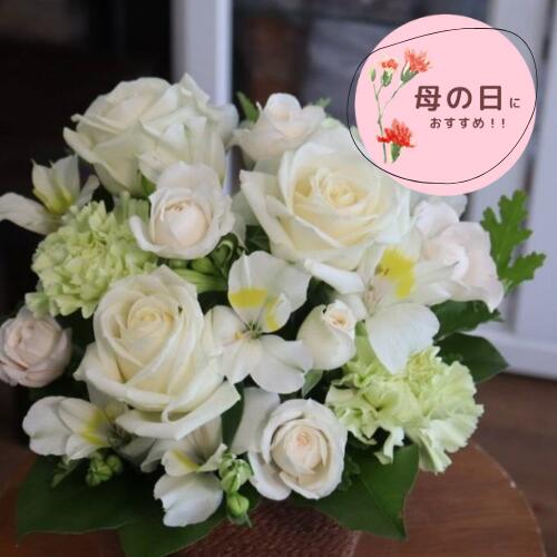 037 おまかせ【ホワイト系アレンジメント】 お花 花 生花 花束 フラワーアレンジメント 洋風 オシャレ ..