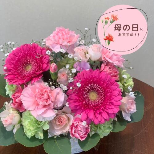 090【カーネーションの入ったピンク系アレンジメント】母の日におすすめ！ お花 花 生花 花束 フラワーアレンジメント モダン 和風 バラ 薔薇 ローズ ピンク 紫 お祝い 誕生日 結婚祝い 出産祝い ホワイトデー バレンタイン 父の日 母の日 敬老の日 記念日 贈り物