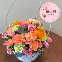 092 母の日におすすめ◎【カーネーションのオレンジバスケット】お花 花 生花 花束 フラワーアレンジメント 洋風 オシャレ ナチュラル お祝い プレゼント ギフト 贈り物 お母さんありがとう バラ 薔薇 ローズ ピンク お祝い 誕生日 結婚祝い 記念日