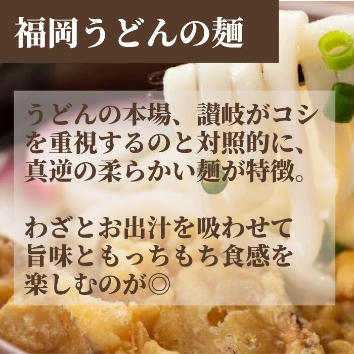 博多名物ごぼう天うどん もちもち麺とサクサク天ぷら 昭和7年創業 老舗鰹節屋が仕立てる鰹とあごのWだしが広がる贅沢な一杯 贈り物 仕送り 自分へのご褒美にも最適 お取り寄せグルメ　【送料無料】博多ごぼう天うどん 2食入 お試し うどん 饂飩 ウドン うどんセット 二人前 美味しいうどん 取り寄せ 福岡 博多うどん 博多 ごぼう天 老舗 本格あご出汁 鰹出汁 人気 九州 お取り寄せ ご当地グルメ 1000円代 即席 和風 麺類 仕送り 常温保存 ギフト プレゼント