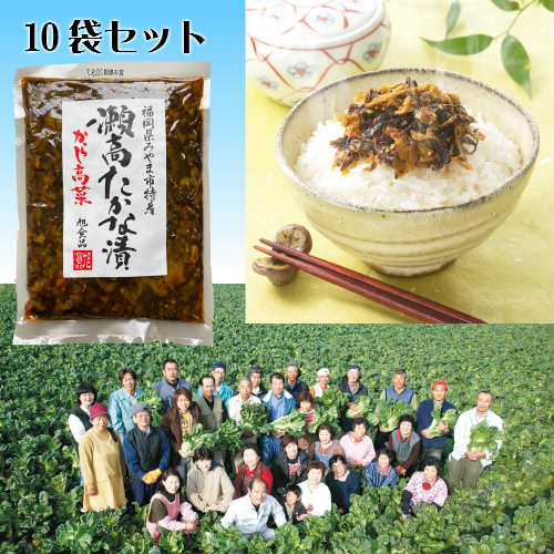 からし高菜 辛子高菜 210g 10袋セット 送料無料 厳選された福岡瀬高産高菜漬けに秘伝の味付けと こだわりの天然素材を使用したワンランク上の味わい ごはんが進む