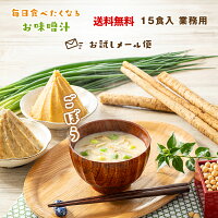 《1,000円ぽっきり》訳あり 賞味期限6月5日まで 業務用 ごぼうの味噌汁 15食 フリ...