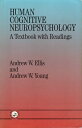 yÁzHuman Cognitive Neuropsychology / Andrew W. Ellis Andrew W. Young / Routledge