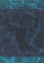 yÁzMind As Motion: Explorations in the Dynamics of Cognition n[hJo[ / Robert F. Port Timothy Van Gelder / Bradford Books