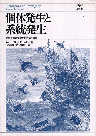 【中古】個体発生と系統発生—進化の観念史と発生学の最前線 / スティーヴン J.グールド 仁木 帝都 渡辺 政隆 / 工作舎