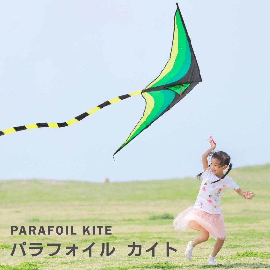スポーツトイ スカイスポーツ kite 春 夏あす楽 カイト 凧 長尾563cm ...
