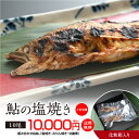 うなぎ屋たむろの岐阜の鮎　塩焼き10尾　あゆ アユ ヒ...