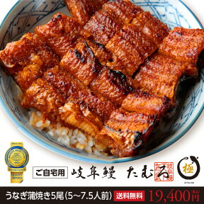 岐阜鰻たむろ極5尾 自宅用 ウナギ蒲焼き うなぎ 蒲焼き 国内産　三河一色産 ギフト　母の日　お中元　お歳暮　父の日　送料無料　帰省暮　行列の人気うなぎ屋　うなぎ　鰻　ウナギ　モンド