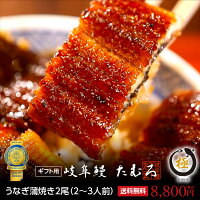 岐阜鰻たむろ極ギフト用2尾 うなぎ蒲焼き うなぎ　国内産 送料無料 行列の人気うなぎ屋 グルメ ウナギ 国産 高級 魚介 あす楽　ギフト　母の日　父の日　お中元　贈り物 誕生日 お祝い