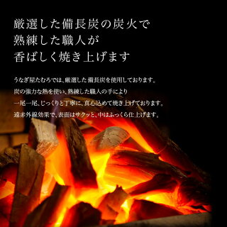 ご自宅用うなぎ白焼き2尾