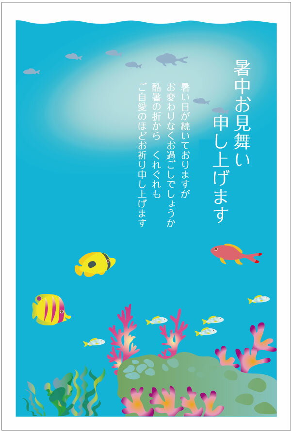 私製はがき5枚 暑中お見舞いハガキ（s-k29）暑中見舞いはがき私製はがき5枚