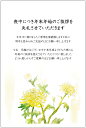 ★速達配送★喪中はがき 10枚 年賀状じまい文章入 はがき 10枚入（k809）年賀状での挨拶をやめる 文章印刷済み 官製はがき（切手付）/私製はがき（切手なし/郵便枠グレー）