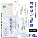 \年賀状じまい文章選べます/名入れ印刷 喪中はがき印刷 300枚 (85円切手付)官製はがき代込年賀状じまい文 官製はがき 印刷 名入れ 喪中葉書 喪中ハガキ印...
